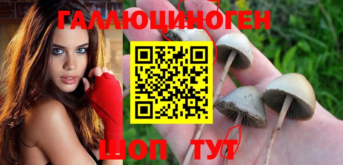 Южно-Сахалинск  Псилоцибиновые грибы Magic Shrooms  Вход с VPN 